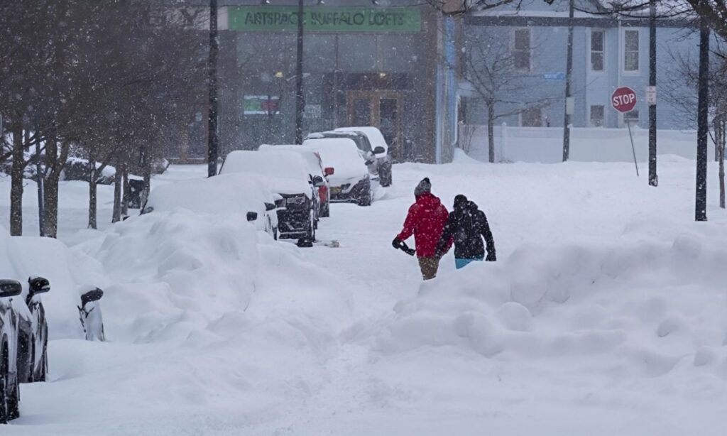 Nueva York estado emergencia nevadas