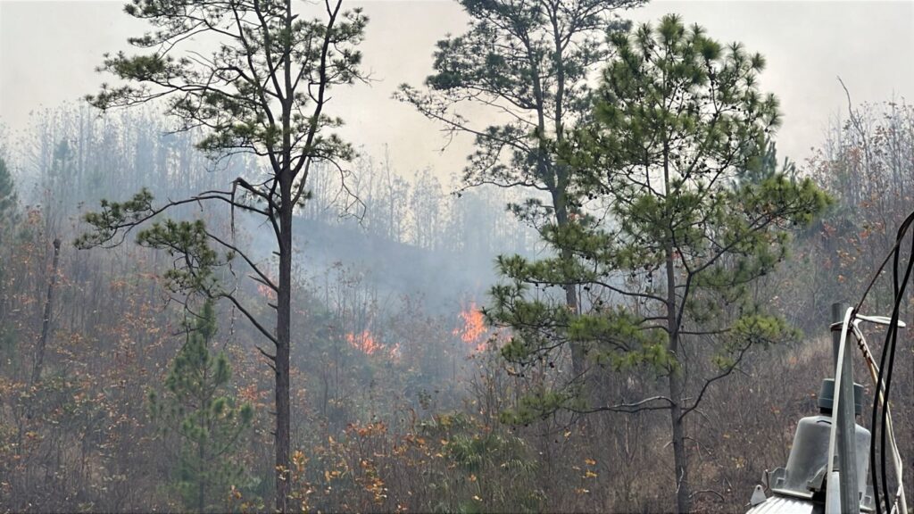 ¡Masacre ambiental! Voraz incendio sigue extendiéndose rápidamente a inmediaciones de Tatumbla, F.M
