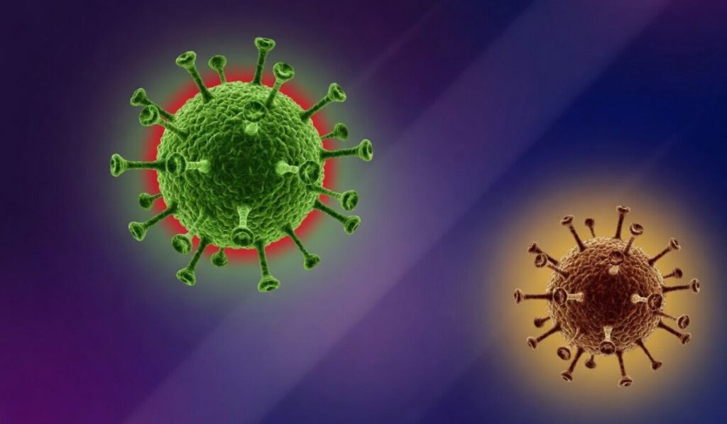 Virus Andes