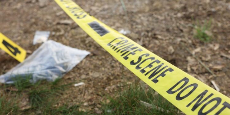 Fallece migrante hondureño que perdió sus extremidades tras caer de ‘La Bestia’