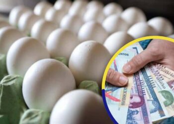 Cinco lempiras suben el cartón de huevos para las torrejas y el rompopo