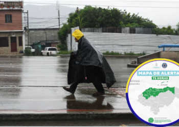 alerta verde