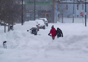 Nueva York estado emergencia nevadas