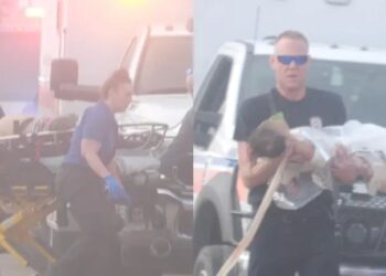 Avioneta de la Marina de México que transportaba al menos a un niño a hospital de Galveston se desploma