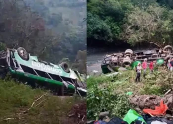 Grave accidente de bus dejó 8 muertos y 19 heridos durante Nochebuena en México: esto se sabe