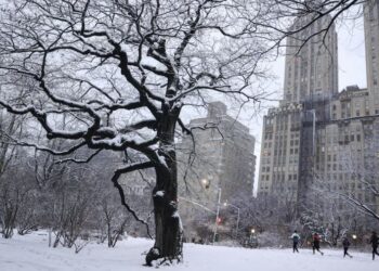 Nueva York se alista para la mayor nevada en tres años en medio de alertas por una tormenta invernal