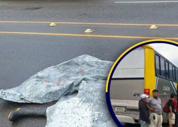 ¡Lamentable! Hombre perece arrollado por bus en la CA-5, Taulabé