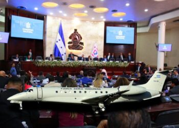 ¡Y se marchó! Congreso Nacional presidido por Zambrano aprueba por unanimidad la venta del Avión Presidencial