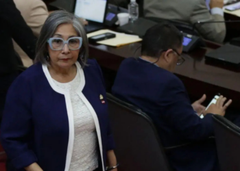 Diputada Maribel Espinoza pide a FFAA garantizar desarrollo de sesiones preparatorias para instalación de Congreso Nacional 2026-2030