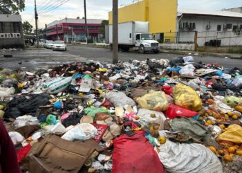 ¡Chanchada! Cerros de basura “adornan” San Pedro Sula por falta de recolección