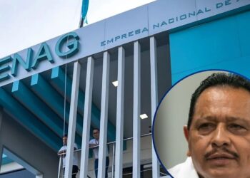 "Yo sólo cumplo la orden de publicar en La Gaceta" :Gerente de la ENAG
