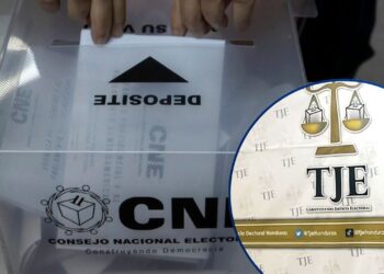 TJE admite siete recursos de apelación y rechaza cinco a nivel de alcaldes y diputados