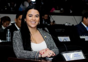 Los maestros están fuera de la Ley del Empleo Parcial, afirma diputada nacionalista Daisy Andonie