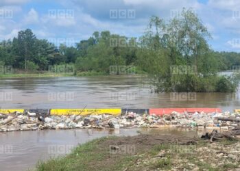 ¡Dantesco! Encuentran el cuerpo sin vida de un hombre flotando en el río Chamelecón en Puerto Cortés
