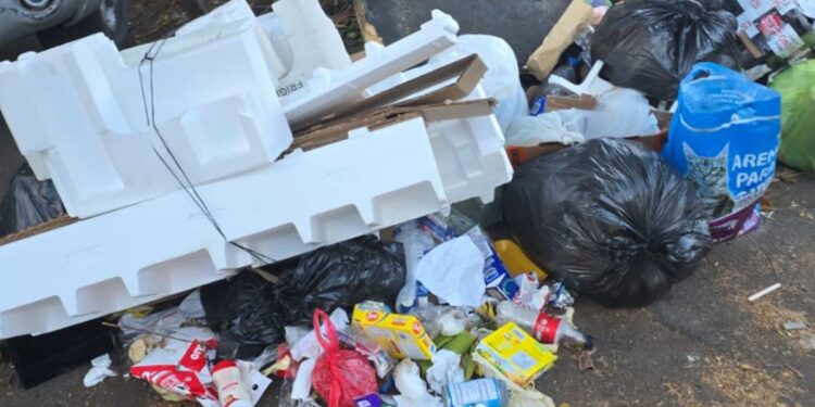 ¡Puercada! Inundada de basura la capital por falta de recolección municipal