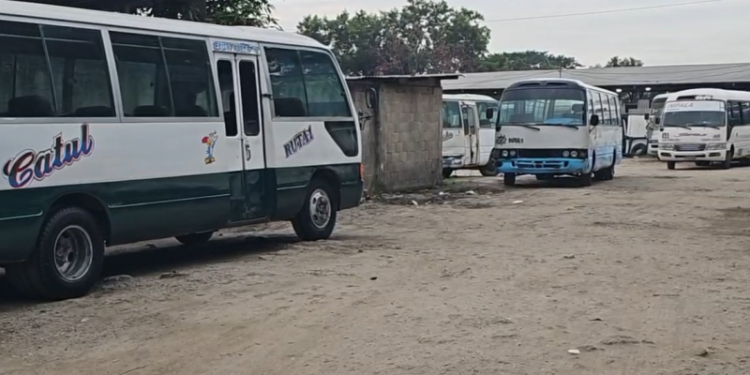 ¡Víctimas de extorsión! Paralizan ruta de buses en SPS tras atentado mortal a chofer