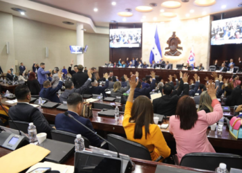 Congreso Nacional aprueba ocho amnistías, entre ellas, la migratoria, vehicular, municipal y agua y saneamiento