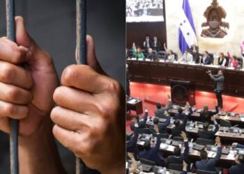 Amnistía Política Honduras