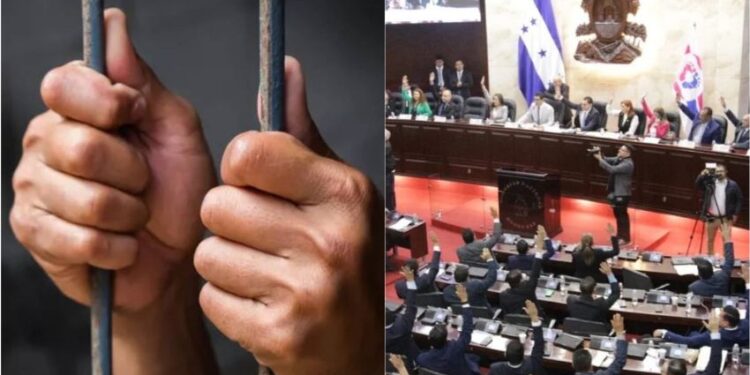 Amnistía Política Honduras