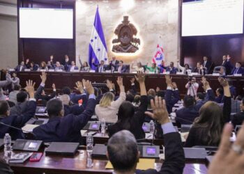 Diputados