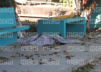 A machetazos matan a joven en La Ceiba