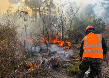 Honduras contabiliza 25 incendios forestales antes del inicio oficial del verano