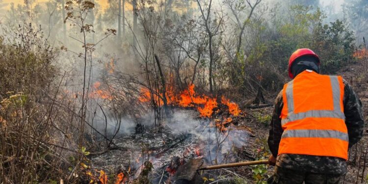Honduras contabiliza 25 incendios forestales antes del inicio oficial del verano