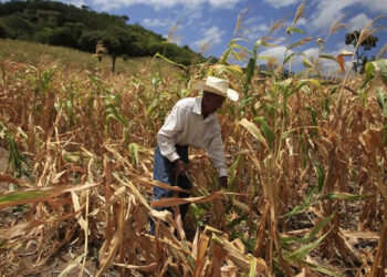 Inseguridad Alimentaria