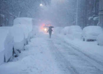 NEVADA EN NUEVA YORK
