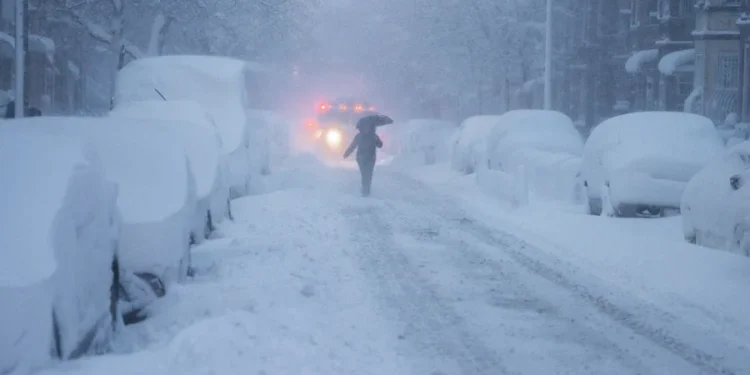 NEVADA EN NUEVA YORK
