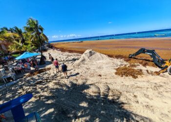Pese a limpieza, “fregado” continúa el turismo en West Bay por invasión de Sargazo