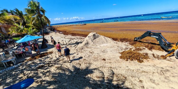 Pese a limpieza, “fregado” continúa el turismo en West Bay por invasión de Sargazo