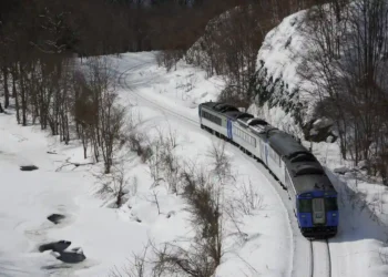 Al menos cinco heridos deja el descarrilamiento de un tren en Suiza debido a una avalancha