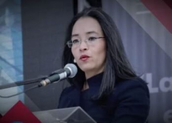 Gabriela Castellanos insiste en aplicar juicio político para altos cargos que socavaron la democracia