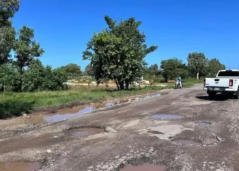 ley-de-emergencia-vial-bacheo_13478399_20260209161450