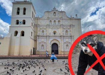 ¡Por si las dudas! Alcaldía de Comayagua prohíbe reuniones therians en espacios públicos