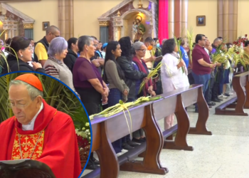 Cardenal Óscar Andrés Rodríguez nos recuerda la Entrada Triunfal del Hijo de Dios que sigue estando del lado de los abatidos, marginados y pobres