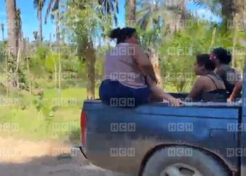 ¡Lamentable! Un hombre de 50 años de edad pierde la vida de forma violenta dentro de una finca de palma en Tocoa, Colón