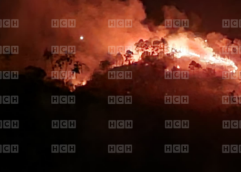 ¡MASACRE AMBIENTAL! Incendio arrasa con zonas verdes en la carretera al municipio de Valle de Ángeles