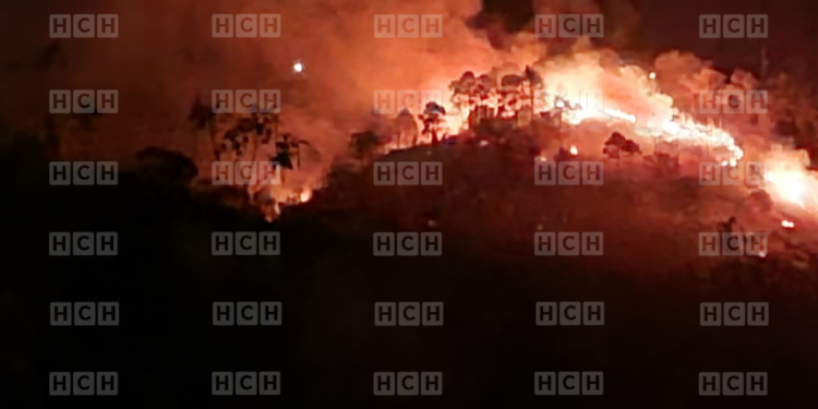¡MASACRE AMBIENTAL! Incendio arrasa con zonas verdes en la carretera al municipio de Valle de Ángeles