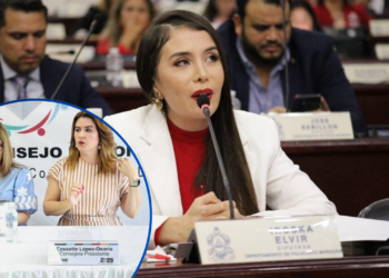Diputada Iroshka Elvir en contra de condecorar a Ana Paola Hall y Cossette López porque “Atentaron contra la democracia”