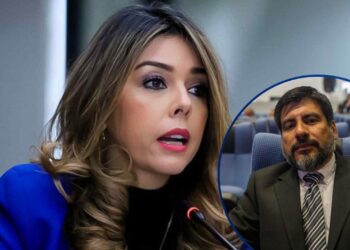 Designada descarta presiones del Ejecutivo para aplicar juicio político a Johel Zelaya