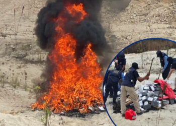 Incineran 252 kilos de cocaína incautada en diferentes operaciones