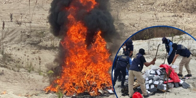 Incineran 252 kilos de cocaína incautada en diferentes operaciones