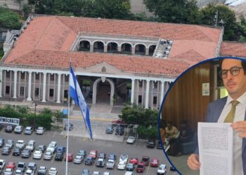 Presentan Recurso de Inconstitucionalidad contra la Ley de Reactivación Económica de “Papi”