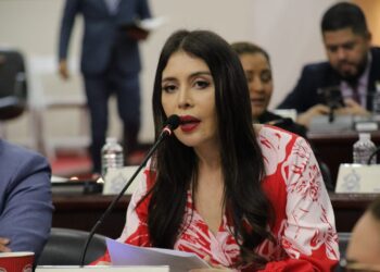 Diputada Iroshka Elvir presenta iniciativa para disminuir el Impuesto Sobre la Venta de manera gradual hasta alcanzar el 12 %