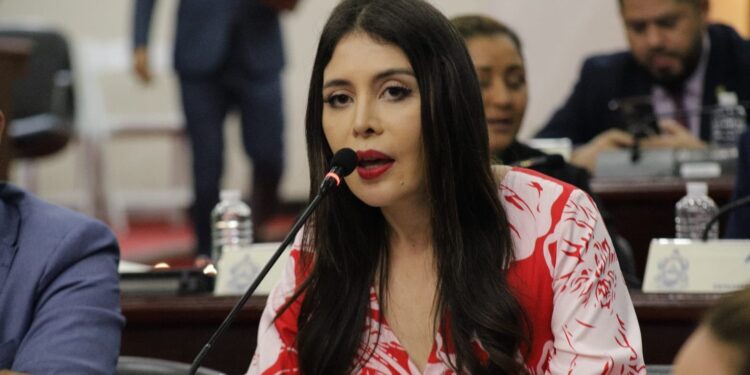 Diputada Iroshka Elvir presenta iniciativa para disminuir el Impuesto Sobre la Venta de manera gradual hasta alcanzar el 12 %