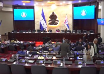 En un Congreso Nacional “palmado”, presentan prórroga para que excandidatos se “pongan al día” con la Unidad de Política Limpia