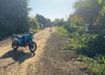 Encuentran el cuerpo sin vida de una persona en el barrio Buenos Aires de Puerto Cortés