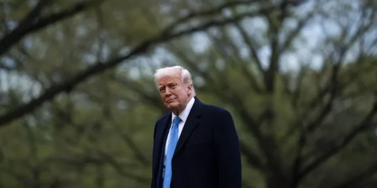 Líderes de Argentina, Bolivia, Ecuador, El Salvador y Honduras irán a la cumbre de Trump